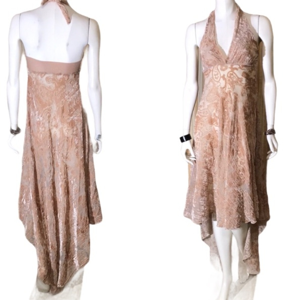 Sheer Velvet &  Lace Paisley Dress